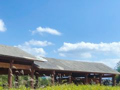 -重庆云阳龙缸景区