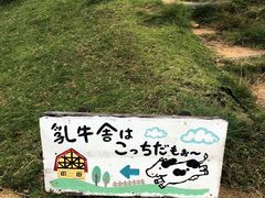 -神户市立六甲山牧场