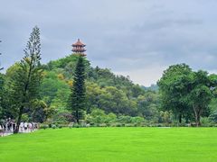 -深圳仙湖植物园