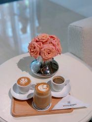 -MuseMarry婚纱(前海嘉里中心店)