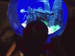 -乌鲁木齐海洋馆