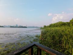 -长广溪湿地公园