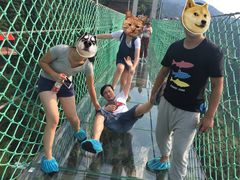 -梦幻奥陶纪景区