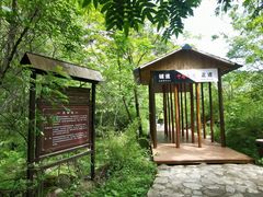 -青峰峡国家森林公园