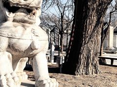 -北京石刻艺术博物馆(五塔寺)