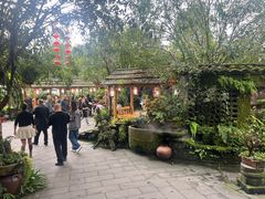 -青城甲(青城山店)