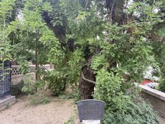 -泰山风景名胜区-普照寺