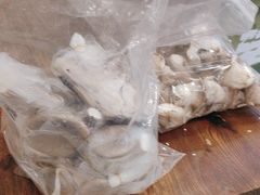 -正能量脆肉鲩火锅