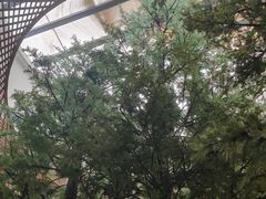 -同里国家湿地公园