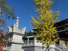 -莆田南少林寺