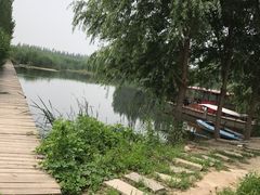 -白洋淀锅里口灶台鱼