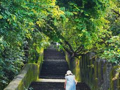 -珠海圆明新园