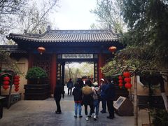 -大槐树寻根祭祖园