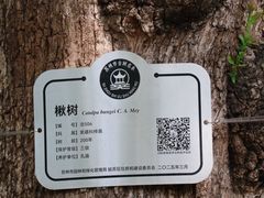 -苏州文庙(姑苏区)