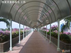 NTU之景 旁边好象就是新加坡的国花=）-南洋理工大学A号餐厅