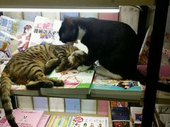 -小时光咖啡馆(开森度假森林店)