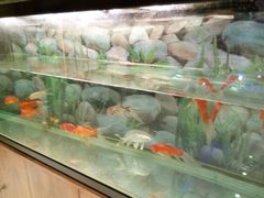 -聚宾楼·烤鸭·家宴(科技三路店)