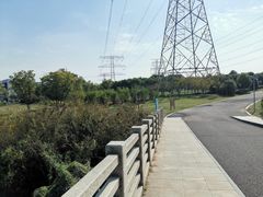 -九里河湿地公园