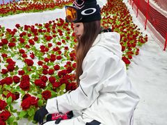 -广州热雪奇迹