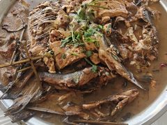 -庆岭迎宾园正宗活鱼馆