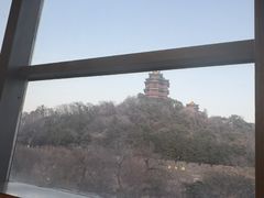 -七欣天香辣蟹火锅(南京建宁路大观天地店)