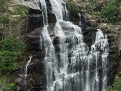 -海南热带雨林国家公园吊罗山景区