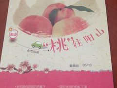 -田园东方蜜桃村的田野营地