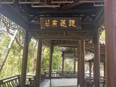 -上海佘山国家森林公园天马山园