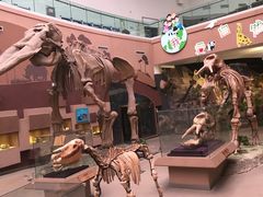 -陕西自然博物馆