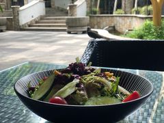 素菜色拉-得丘礼享谷·玉兰苑