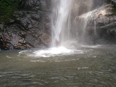 景点-莫里热带雨林景区