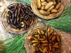 -昆虫窝子·特色云南菜(拓东路总店)