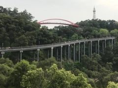 -金鸡山公园
