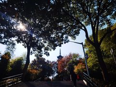 -上海佘山国家森林公园西佘山园