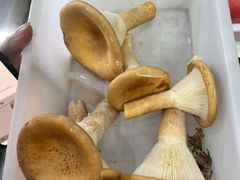 -畲乡一品鱼府土菜馆