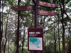 -阳台山森林公园
