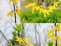 -杭州城北体育公园