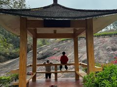 -广州莲花山旅游区