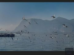-滇池海埂公园