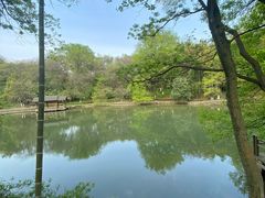 -善卷洞风景区
