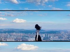 -长虫山生态公园风景林
