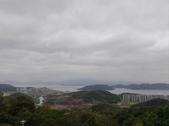 -黄贤森林公园