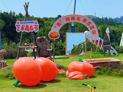 -天目湖涵田度假村