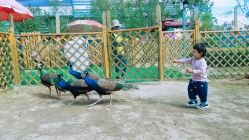 -萌宠亲子动物乐园(槐房万达店)