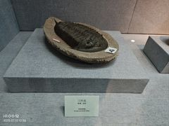 -烟台自然博物馆