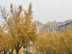 -赭山公园