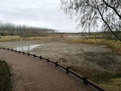 -黄海国家森林公园