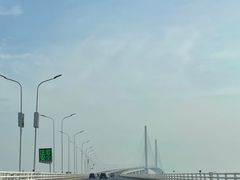 -东平国家森林公园