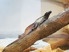 -南京金牛湖风景区