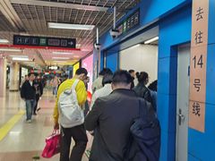 -大望路(地铁站)